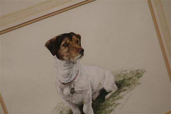 Alexandra McMaster, two watercolours, studies of Jack Russell Terriers, signed and dated 1988/1993, 30 x 37cm